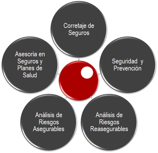 Servicios Asegurateperú Servicios Asegurateperú